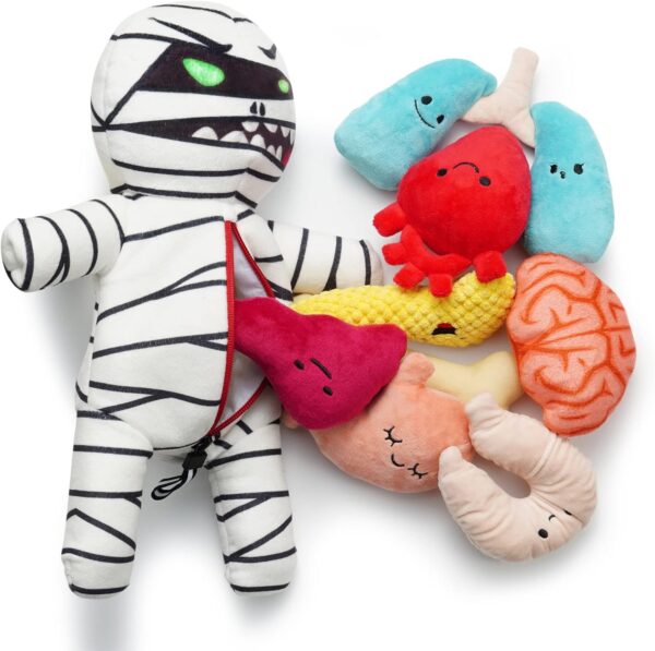 Nocciola Zombie Mummy Dog Toys with Organs: Funny Plush Stuffed Squeaky Dog Chew Toys for Puppies, Small and Medium Size Dogs, Puzzle Toys for Dog Training Pet Supplies