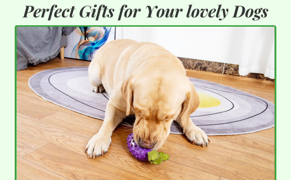 dog toys for large dogs