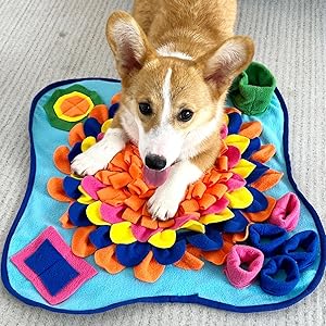 Dog Snuffle Mat