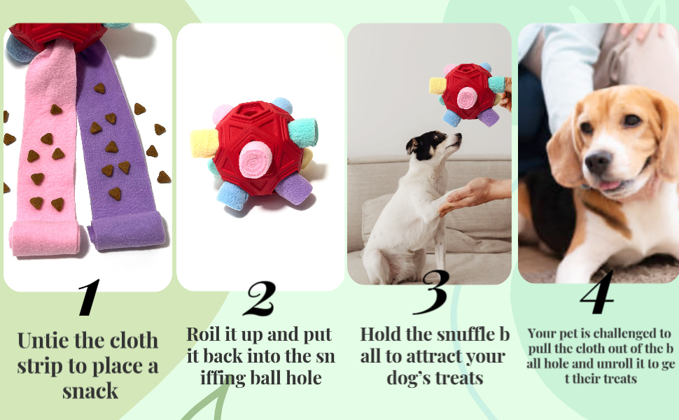 dog toys 