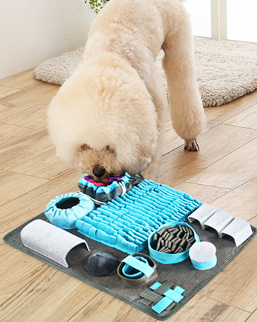 dog  sniffing mat