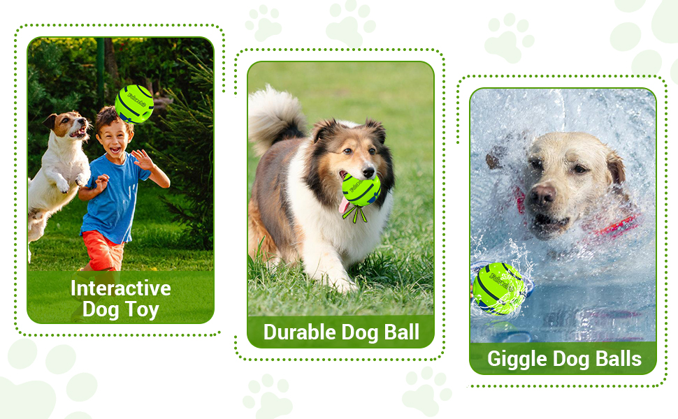 toy for dogs