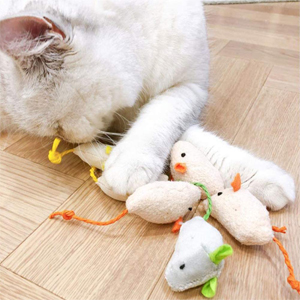 cat toys,kitten toys