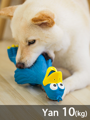 Duck Dog Toy