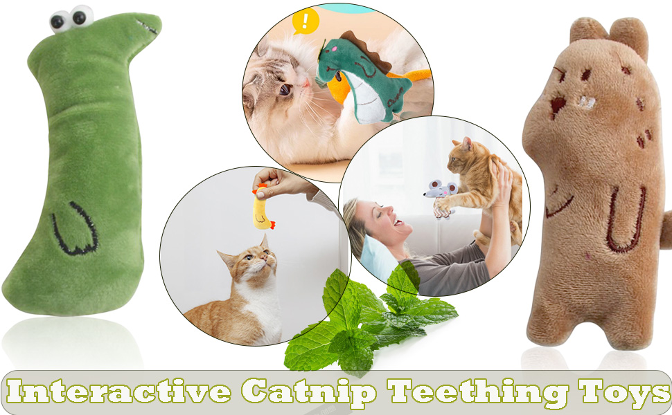 cat toys catnip