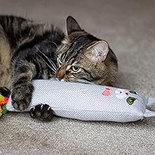 Cat holding cat kicker toy