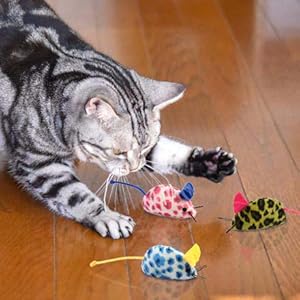 cat-toy