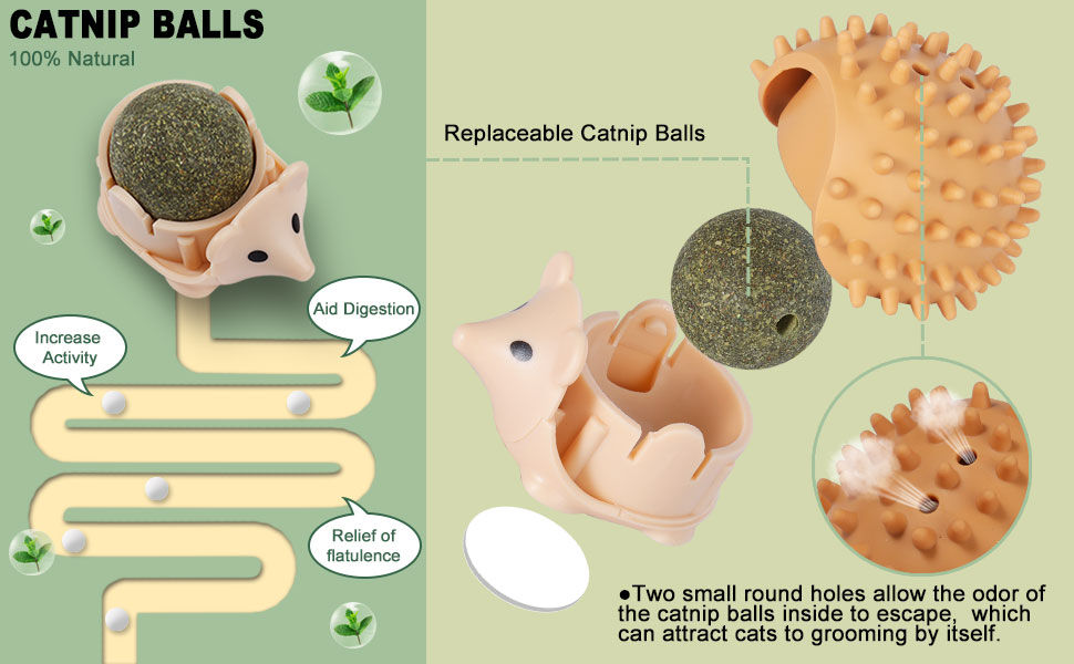 Catnip Balls Toys for Cats Licking