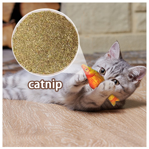 Cat Fish Toys