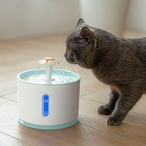 cat water fountain