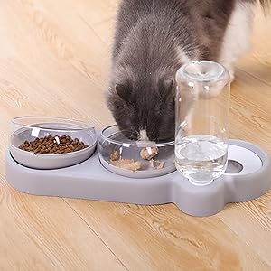 3-In-1 Cat Food And Water Bowl