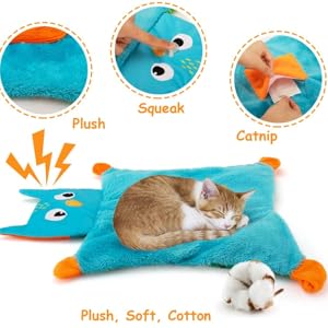 Cat Activity Mat