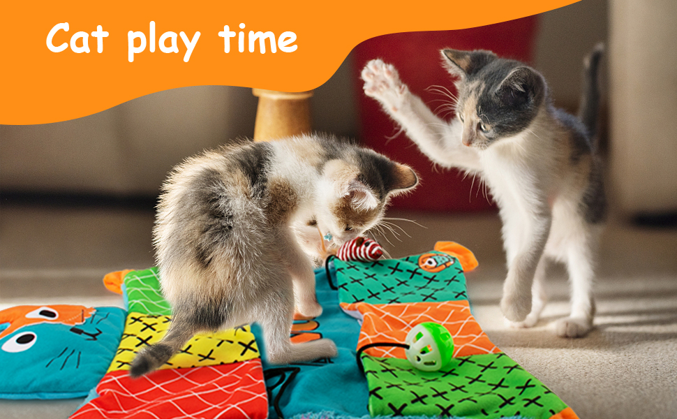 Cat Play Time