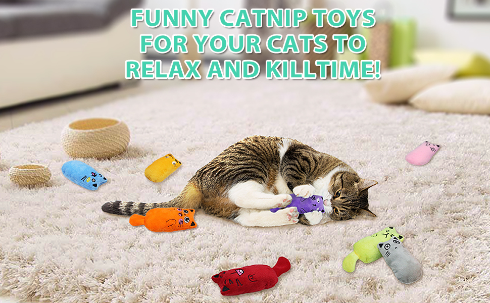 cat catnip toy