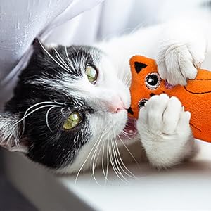 catnip toys for kittens