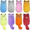 TONGKTAI Cat Catnip Toys, 8 Pack Cat Plush Toy with Teeth Cleaning, Interactive Entertaining Pet Chewing Pillow for Indoor Kitten, Cat