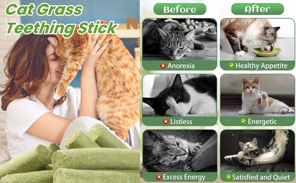 catnip sticks cats cat dental chew sticks cat dental t/oy dental sticks cats silvervine sticks cats