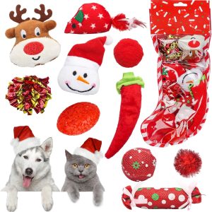 Dreamon Christmas Cat Toys, Kitten Catnip Toys Indoor Interactive Teething Toys for Cat Small Animal 10 PCS