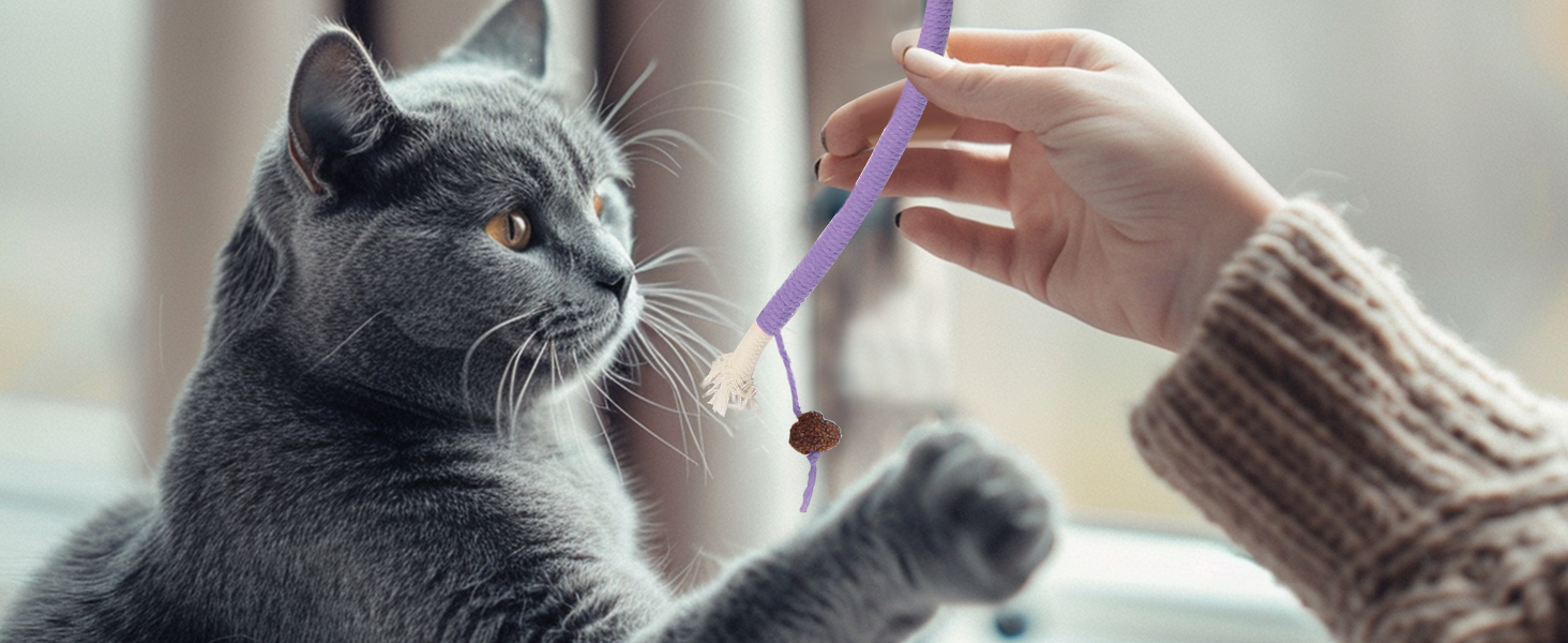 cat teething toy