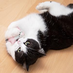 A black and white cat plays with a pink cat cushion from Pretty Kitty