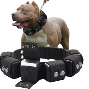 Walktime, Dog Collar, Tactical Dog Collar, Weighted Dog Collar with Weights for Dog Training and Exercise Equipment - Free Weights, Small, Medium, Large Dogs