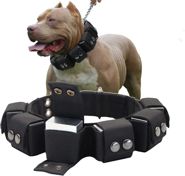 Walktime, Dog Collar, Tactical Dog Collar, Weighted Dog Collar with Weights for Dog Training and Exercise Equipment - Free Weights, Small, Medium, Large Dogs