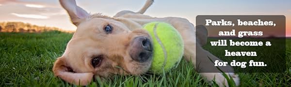 Tennis ball launcher 