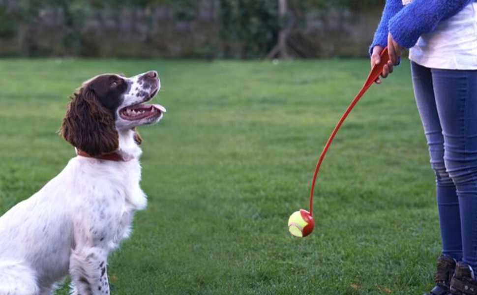 Heavy Duty Ball thrower