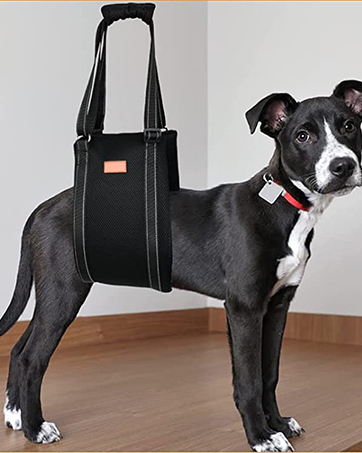 Dog Mobility Aids Support Sling 