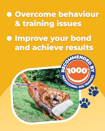 overcome behaviour issues tug toys for dog training and play improve bond results 