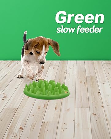 Green Interactive Feeder