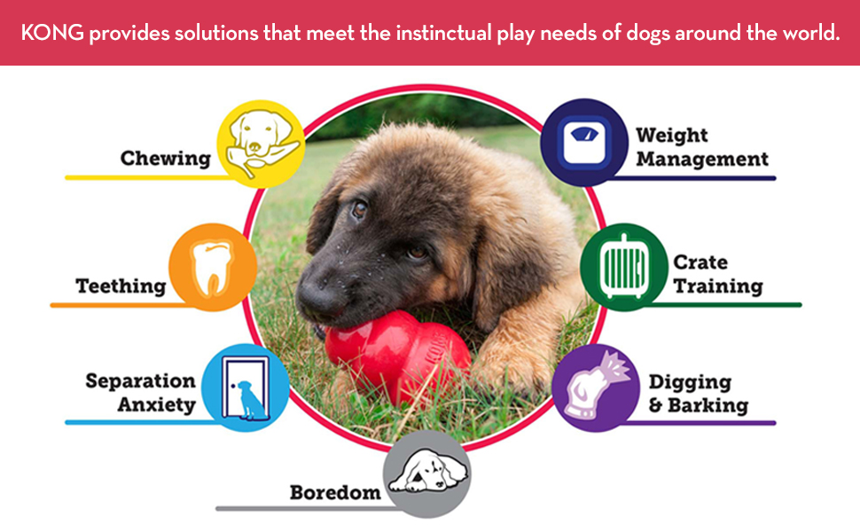 KONG provides solutions that meet the instinctual play needs of dogs around the world