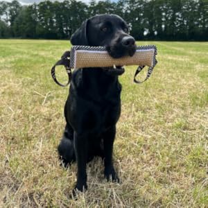 Labrador Jute Toy Tug Fenrir 