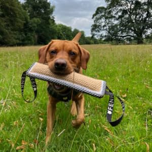 Fox Red Lab Jute Toy Fenrir Tug Toy Amazon