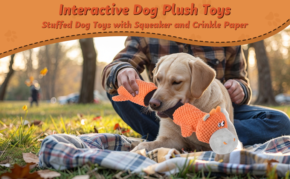 dog toys for large dogs