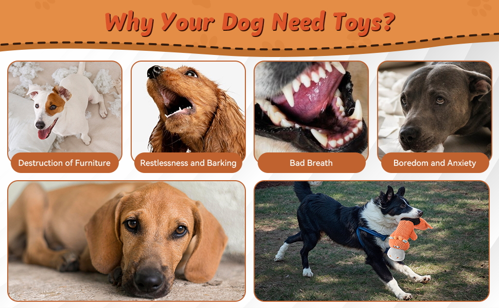 interactive dog toys