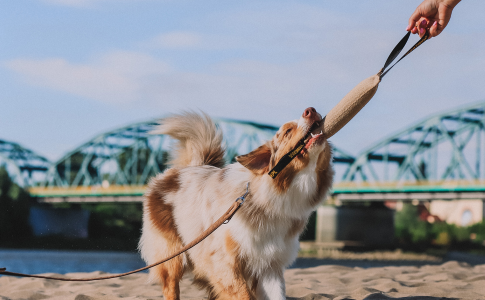 jute bite tugs, jute bite tug, jute tug toy