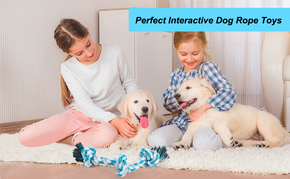 dog rope toys