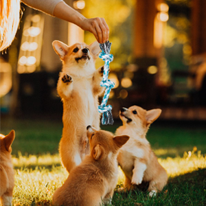 Chew Rope Toy