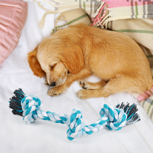 Chew Rope Toy