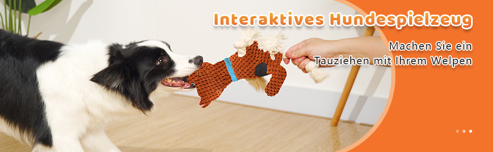 Make a tug of war with your puppy.