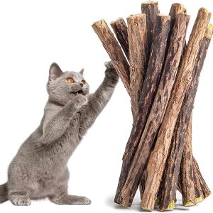 45 Pcs Cat Chew Sticks, Cat Catnip Toys, Natural Matatabi Silvervine Chew Sticks, Cat Dental Care, Kitten Dental Food Treats, Cat Teeth Cleaning Dental Sticks, Cat Accessories