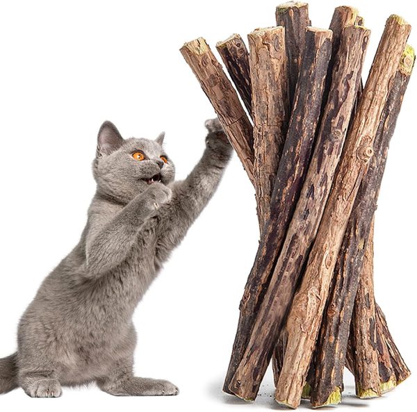 45 Pcs Cat Chew Sticks, Cat Catnip Toys, Natural Matatabi Silvervine Chew Sticks, Cat Dental Care, Kitten Dental Food Treats, Cat Teeth Cleaning Dental Sticks, Cat Accessories