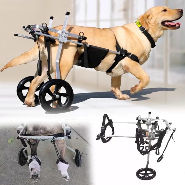 ASHILD Medium Large Dogs Walking Wheelchair, Pet Exercise Wheels Cart for Back Legs, Dog Assisted Walker, Pet Rehabilitation Training Equipment (Size : Size L)