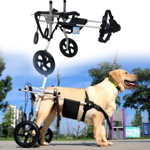 BBHW Large Dogs Wheelchair for Paralyzed Rear Legs, Widen Harness & Smooth Tires Dog Cart, Recover Mobility Exercise Walking Equipment (Size : Size M)