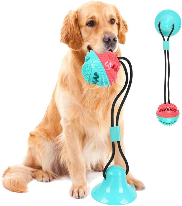 BUYGOO Dog Molar Bite Toy with Suction Cup Interaction Dog Rope Toy Pet Chew Toy Dog Bite Tug Toy Puppy Training Rope for Tugging, Pulling, Chewing, Playing