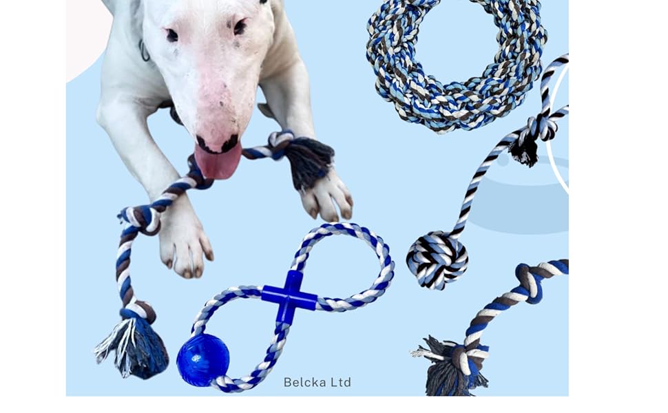 dog rope toy