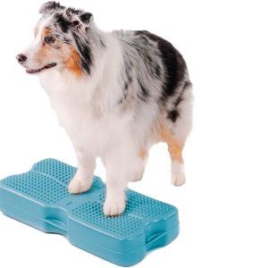 Blue-9 Propel Air Platform Kit, Professionally Designed Dog Training Accessories and Pet Products, Turquoise