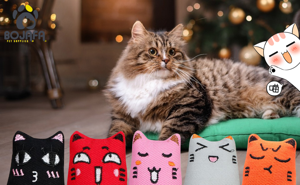 Ideal mint Cat Toys for Christmas and Birthday