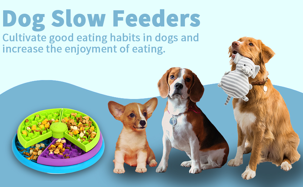 Slow Feeder Toys